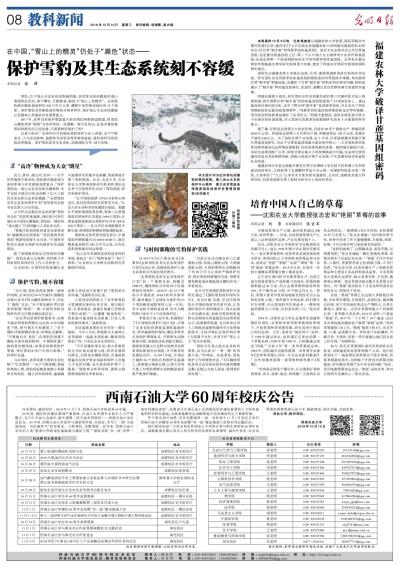 香港内部信封料一码