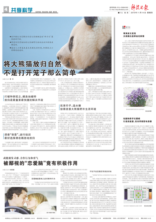 香港内部信封料一码