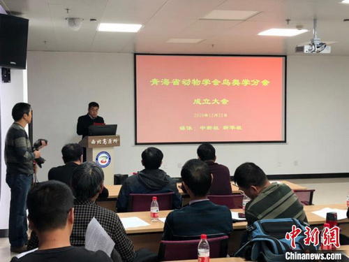 香港内部信封料一码