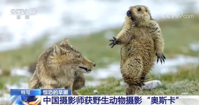 香港内部信封料一码