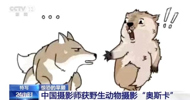 香港内部信封料一码