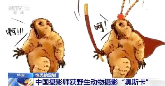 香港内部信封料一码