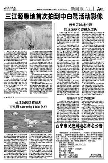 香港内部信封料一码