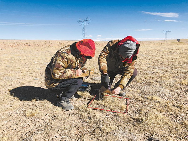 香港内部信封料一码