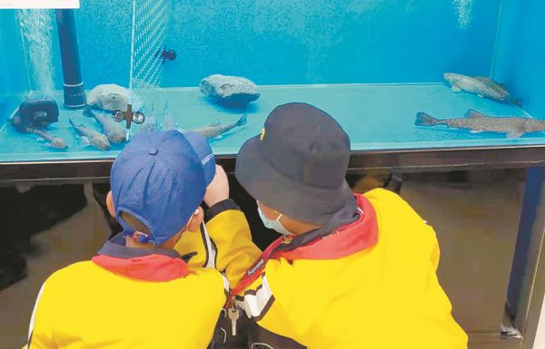 香港内部信封料一码
