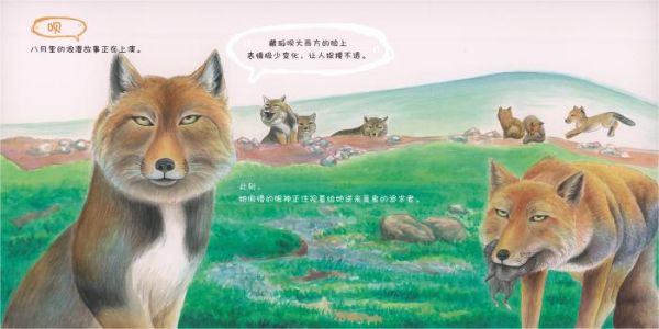 香港内部信封料一码