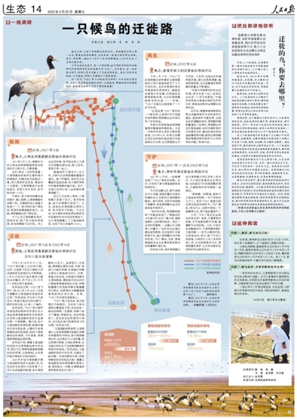 香港内部信封料一码