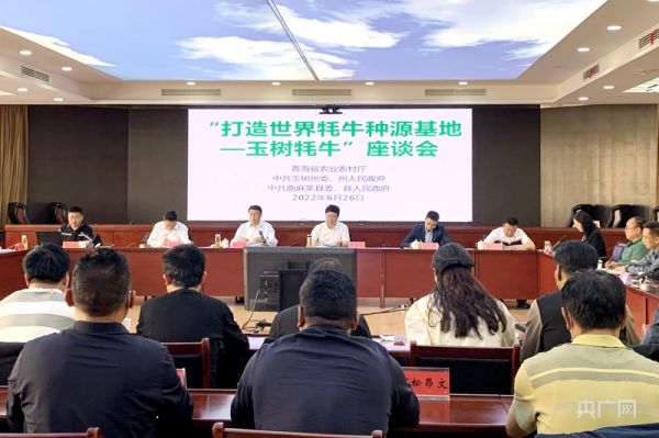 香港内部信封料一码