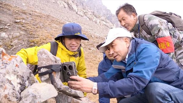 香港内部信封料一码