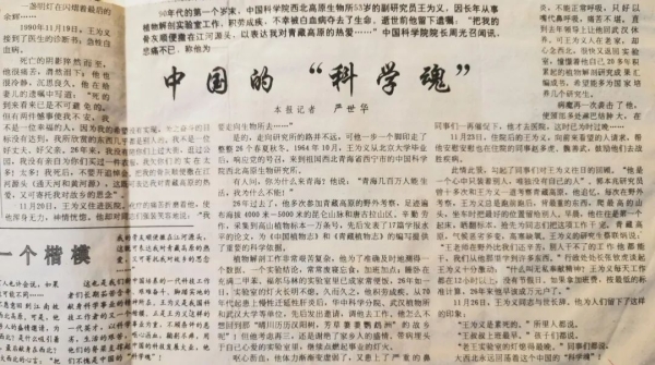 香港内部信封料一码