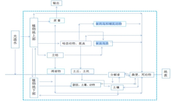 香港内部信封料一码