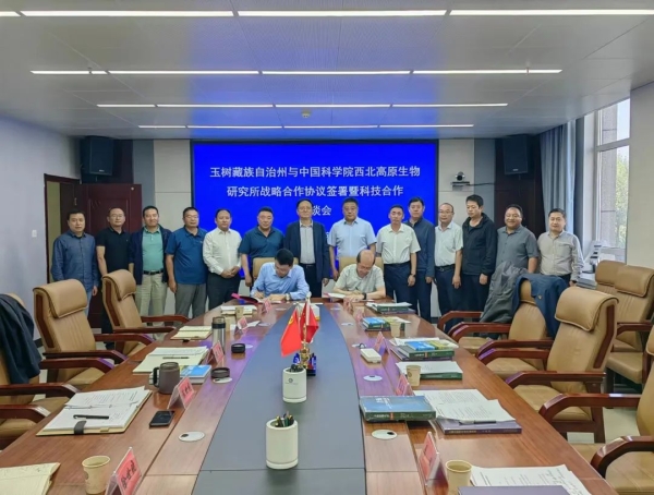 香港内部信封料一码