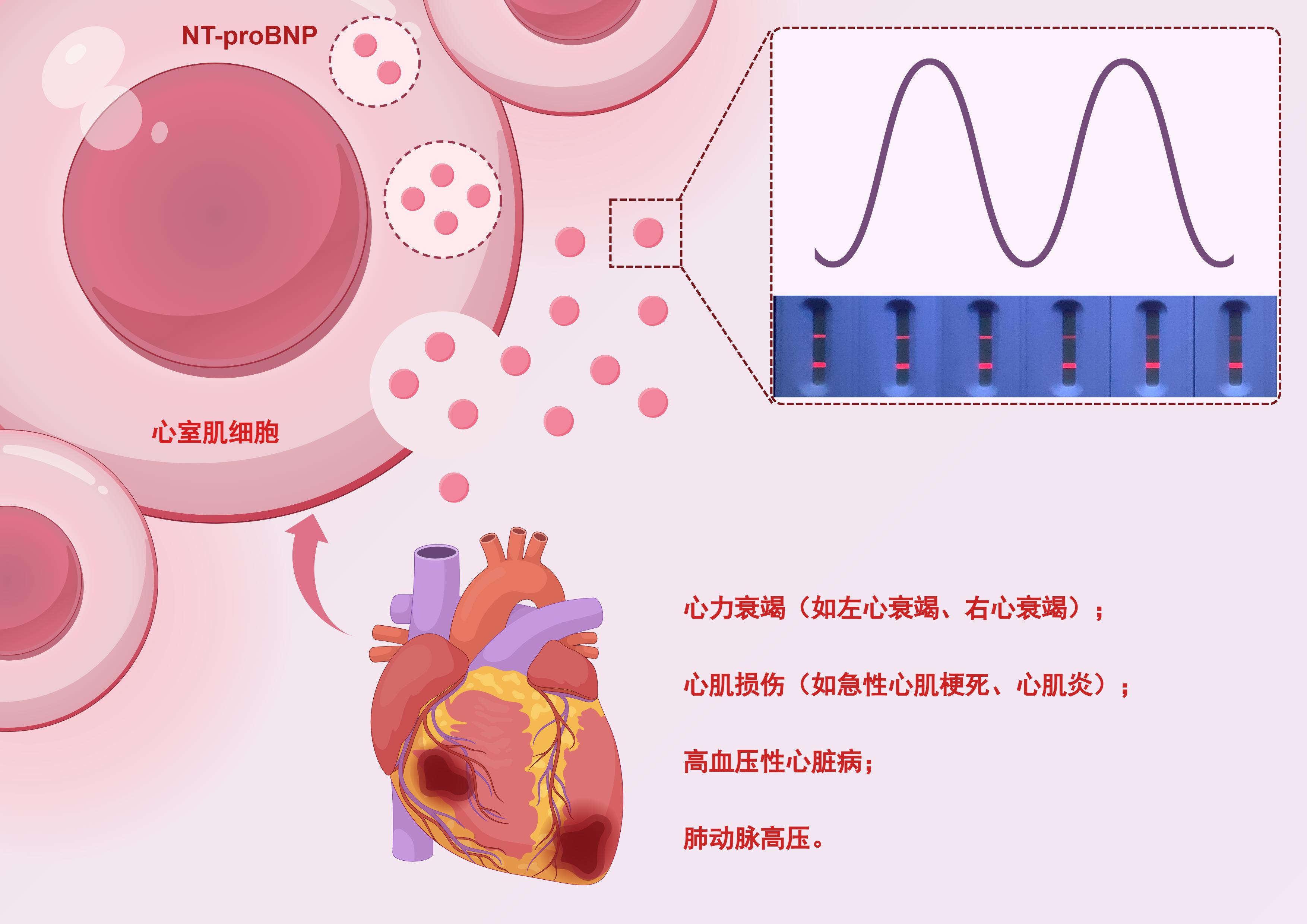 香港内部信封料一码