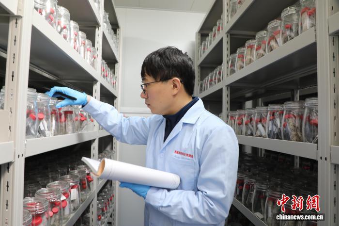 香港内部信封料一码