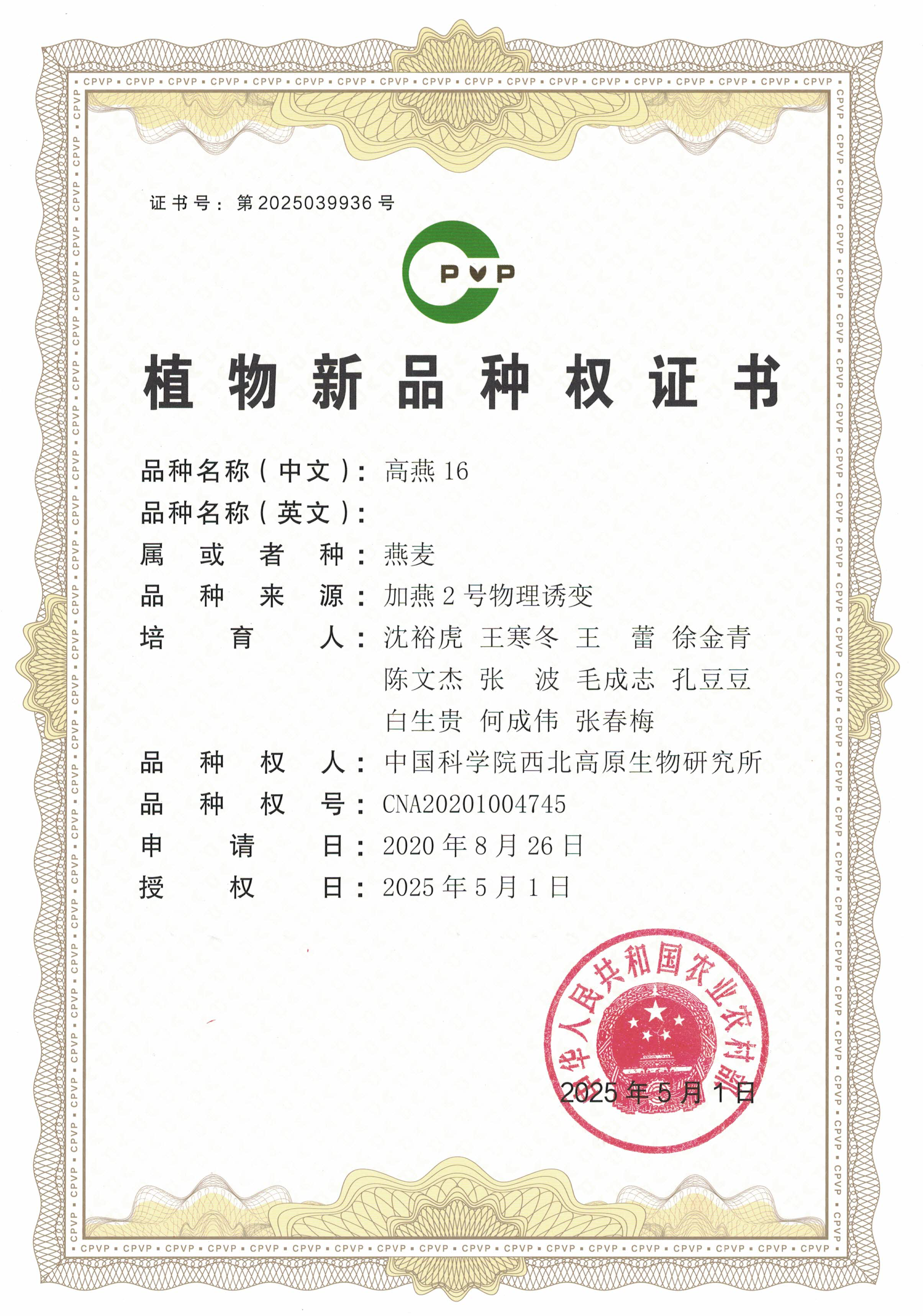 香港内部信封料一码