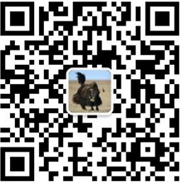 香港内部信封料一码