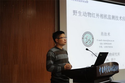香港内部信封料一码