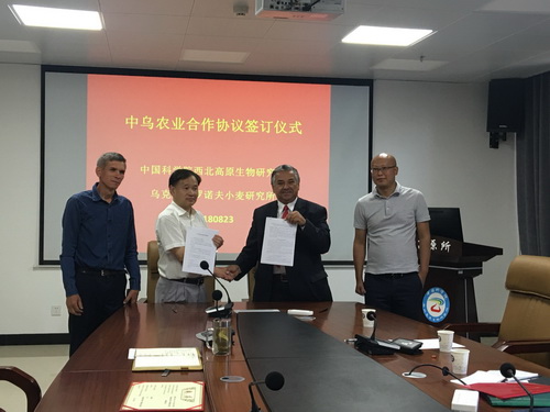 香港内部信封料一码