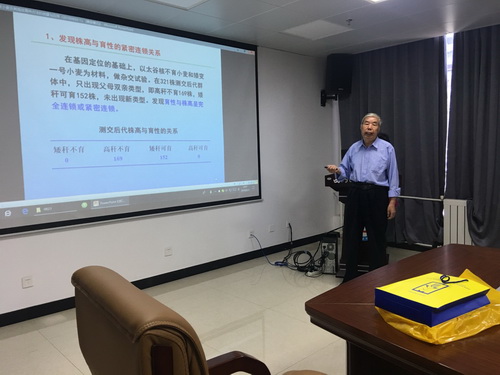 香港内部信封料一码