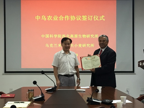 香港内部信封料一码