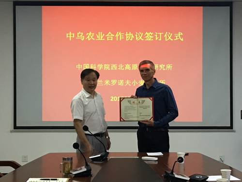 香港内部信封料一码