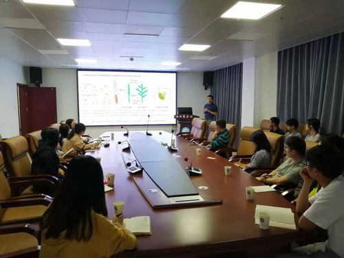 香港内部信封料一码