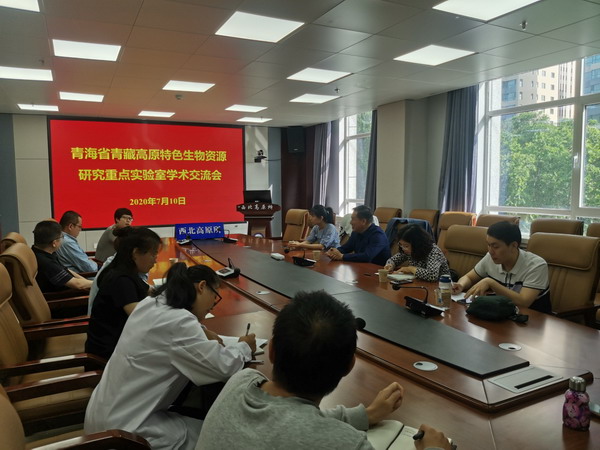 香港内部信封料一码