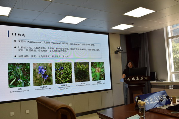 香港内部信封料一码