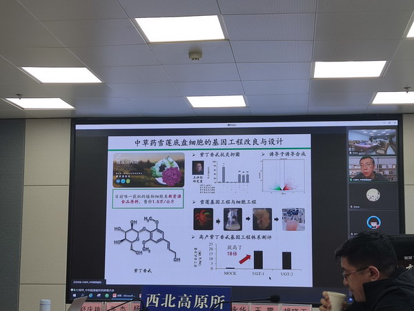 香港内部信封料一码