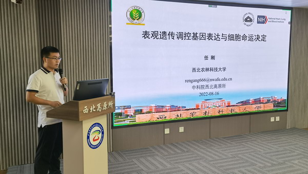 香港内部信封料一码