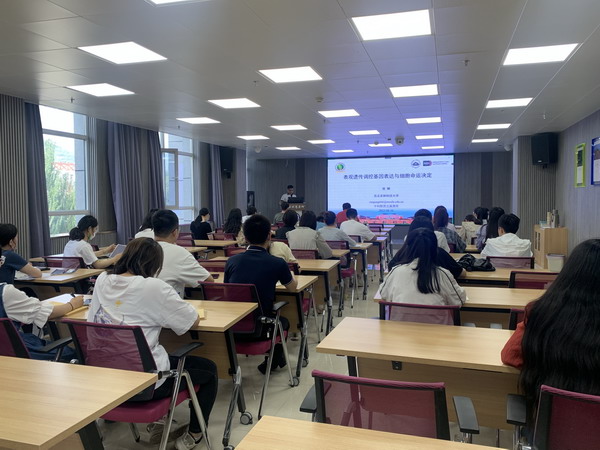 香港内部信封料一码