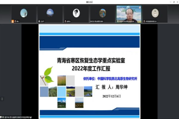 香港内部信封料一码