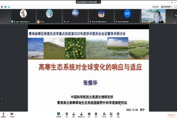 香港内部信封料一码