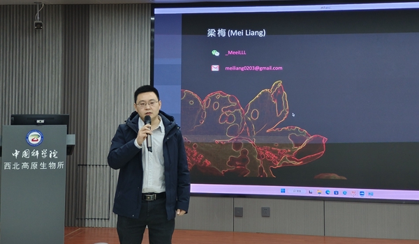 香港内部信封料一码