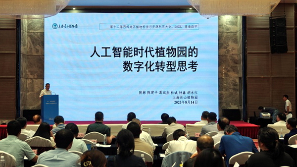 香港内部信封料一码