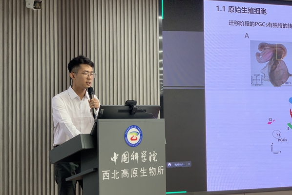 香港内部信封料一码