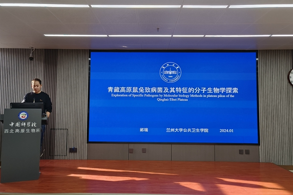 香港内部信封料一码