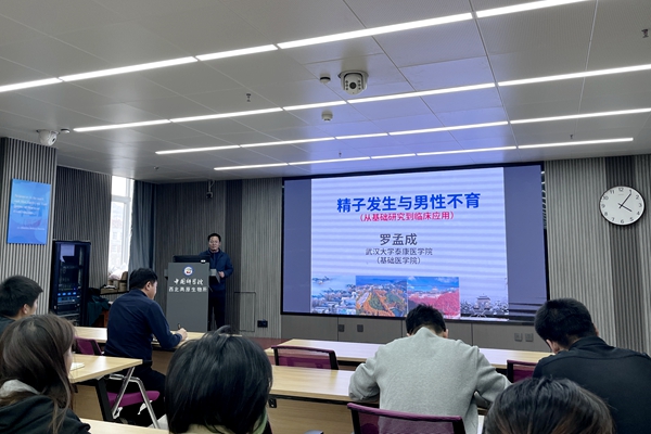 香港内部信封料一码