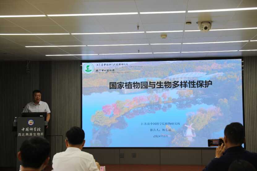 香港内部信封料一码