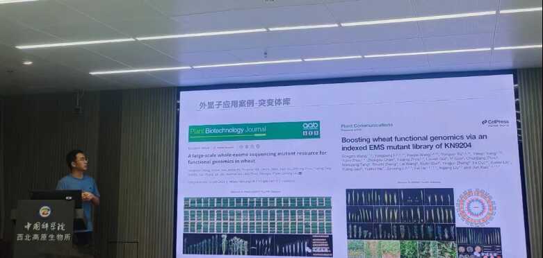 image.png 香港内部信封料一码