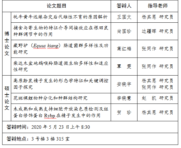 香港内部信封料一码