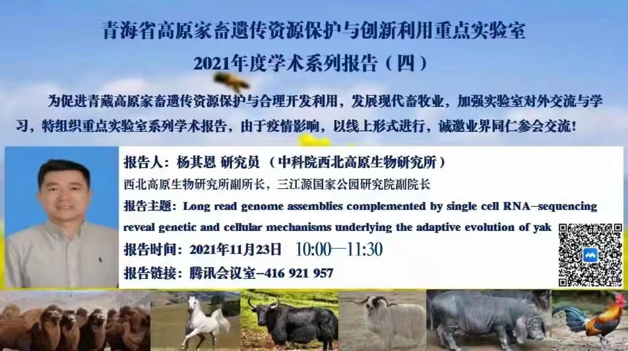 香港内部信封料一码