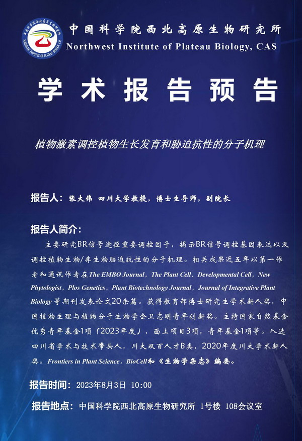 香港内部信封料一码