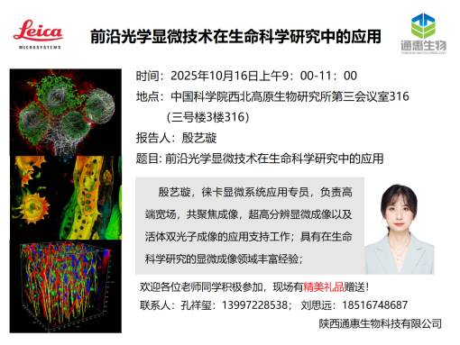 香港内部信封料一码