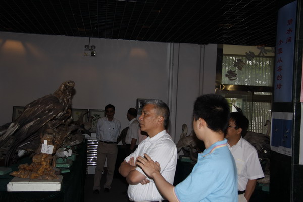 香港内部信封料一码