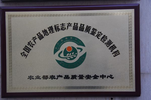 香港内部信封料一码