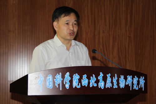 香港内部信封料一码