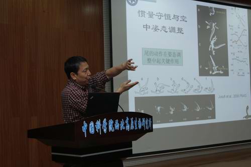 香港内部信封料一码