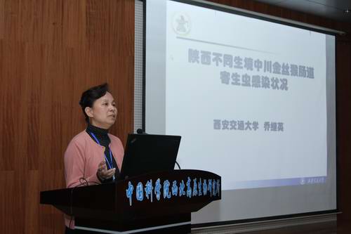 香港内部信封料一码
