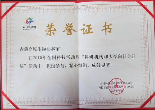 香港内部信封料一码
